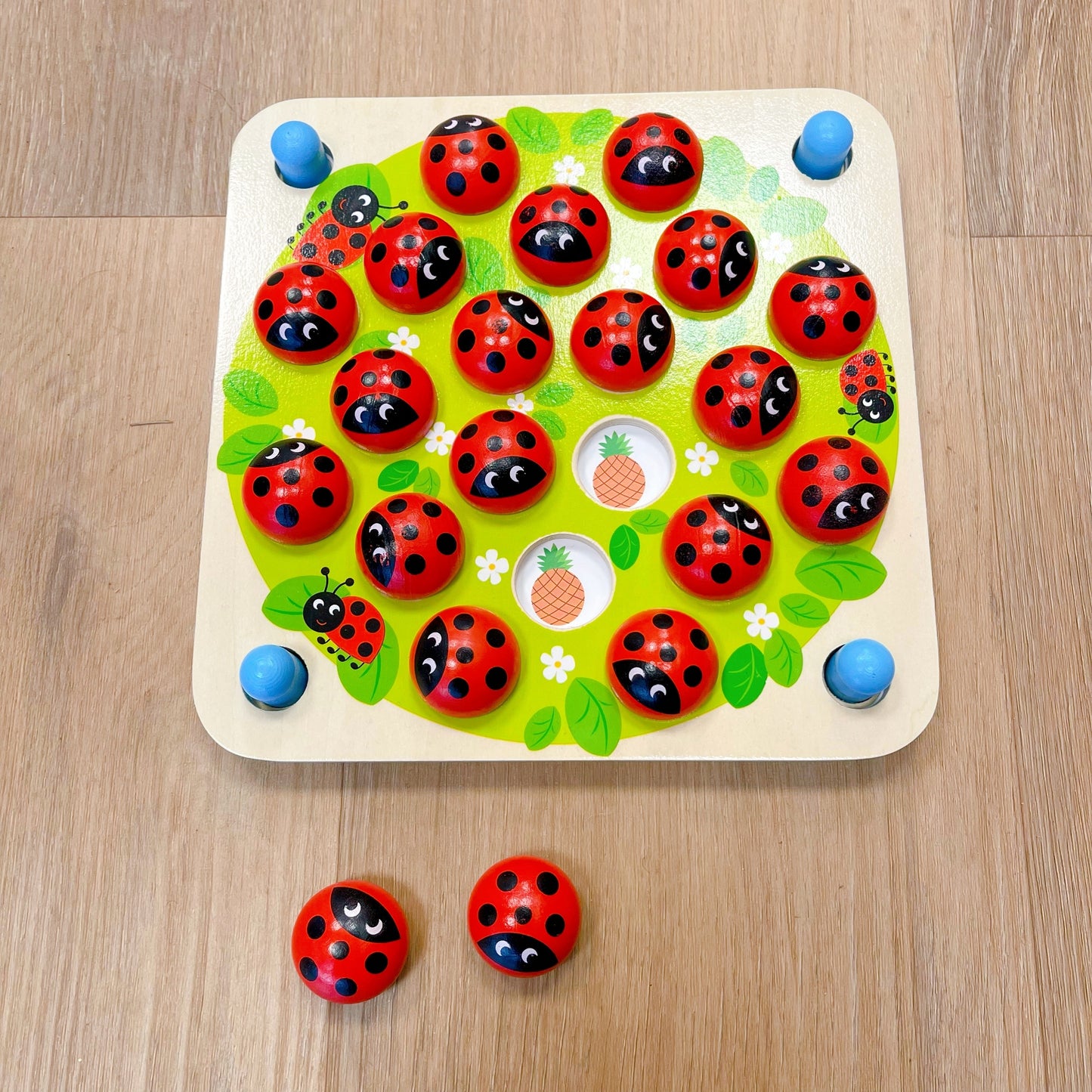 Ladybug memory game
