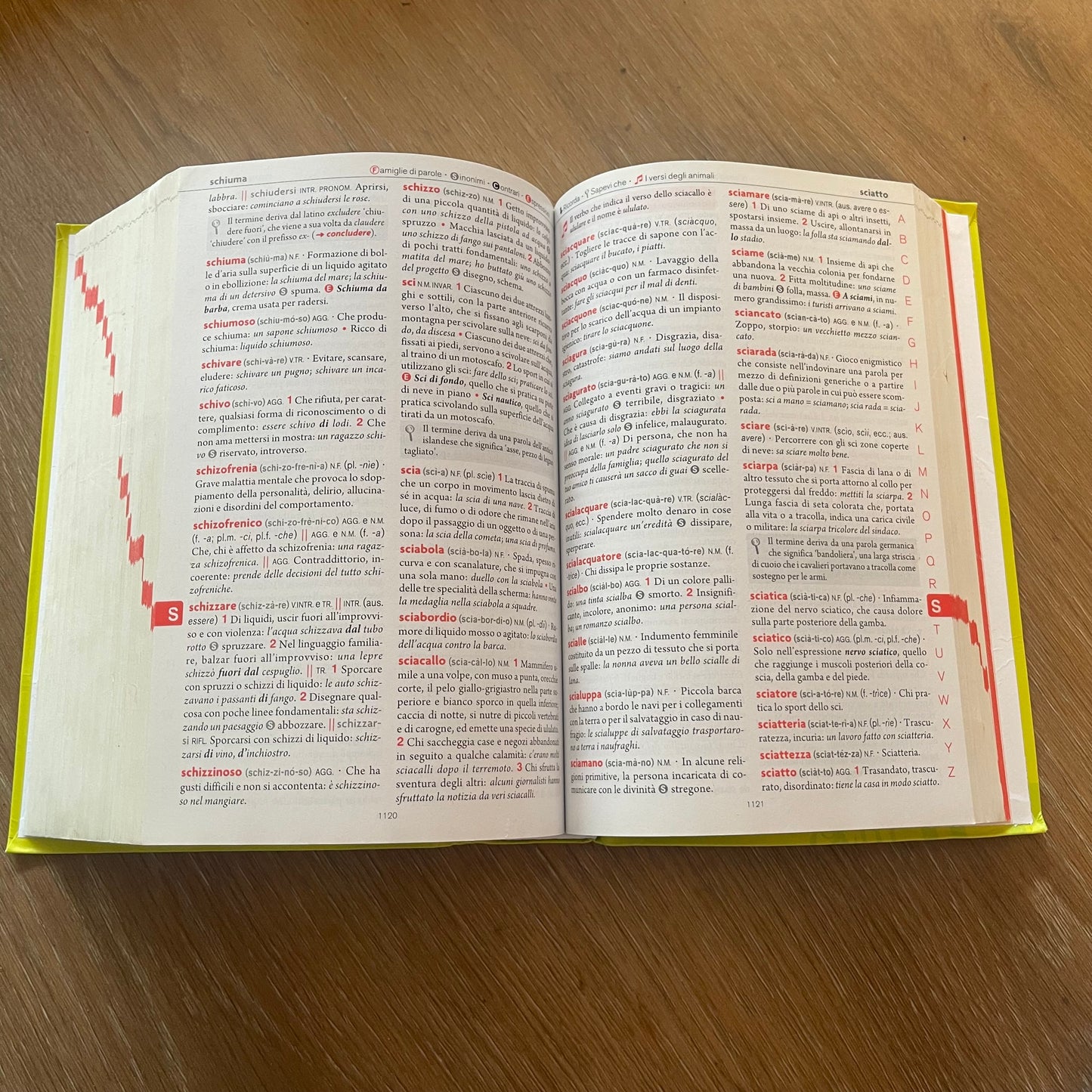 Vocabolario Il nuovo Devoto-Oli Junior