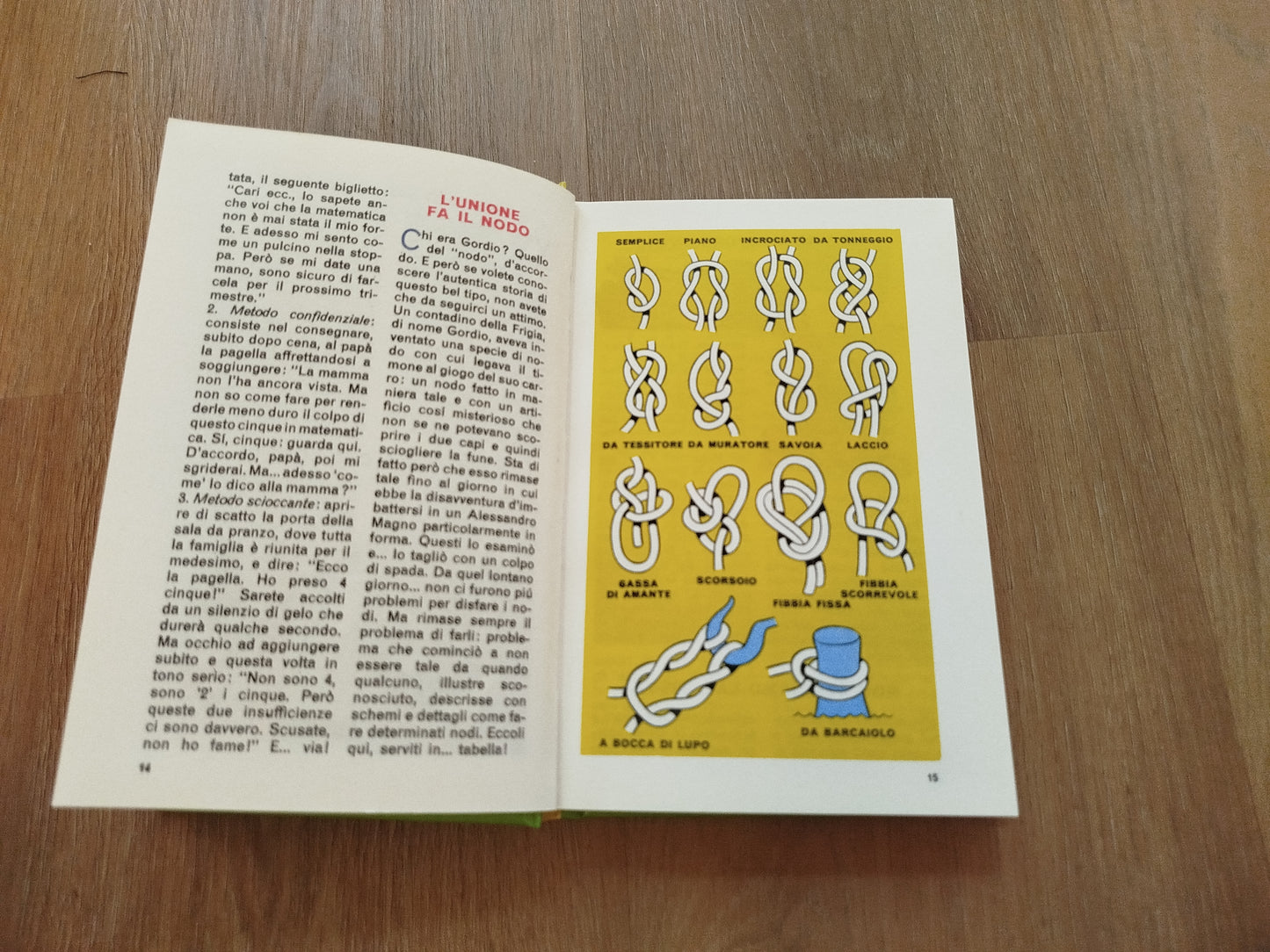 Manuale delle Giovani Marmotte