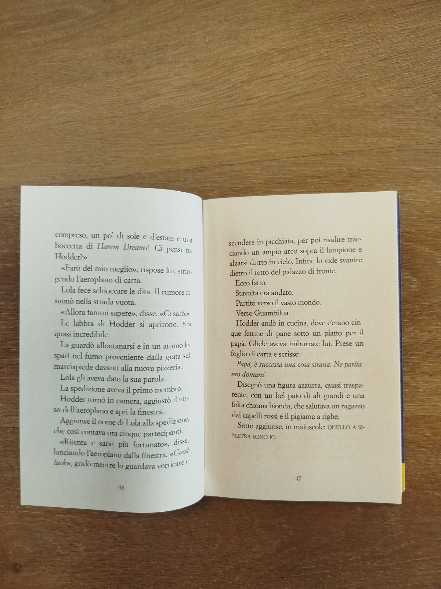 Hodder e la Fata di poche parole
