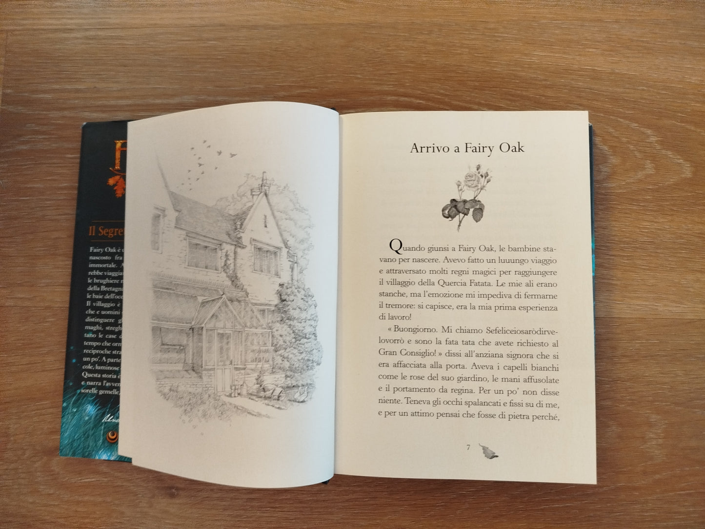 Il segreto delle Gemelle