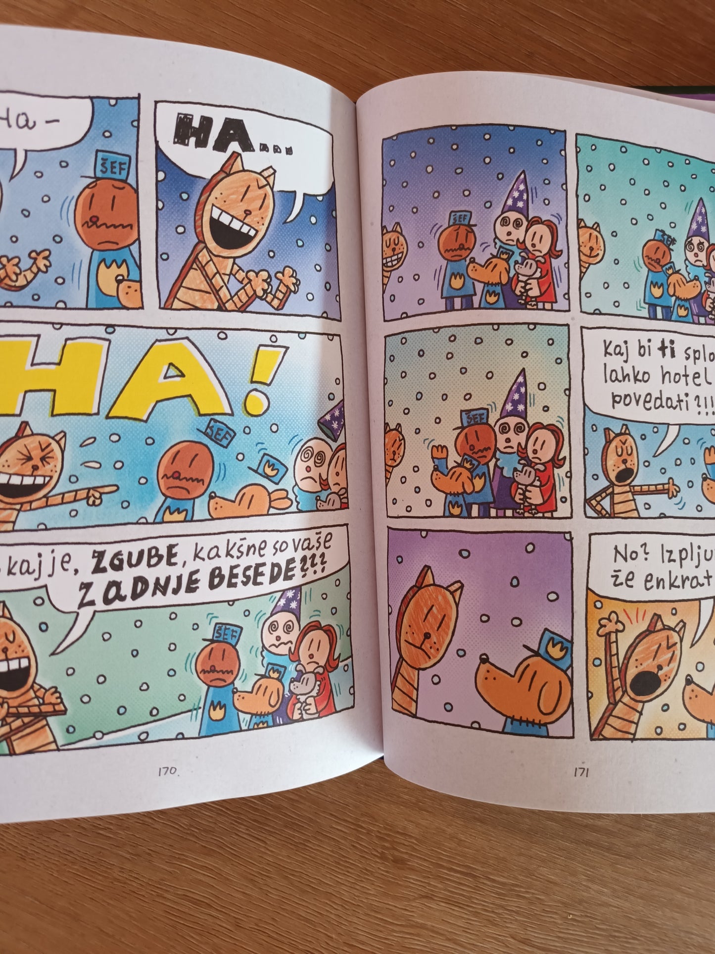 Pasjimoz snet sketne