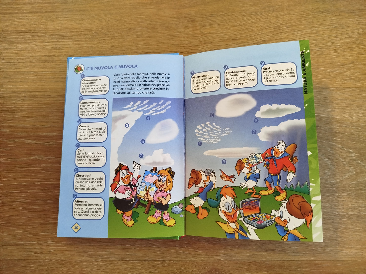 Manuale delle Giovani Marmotte