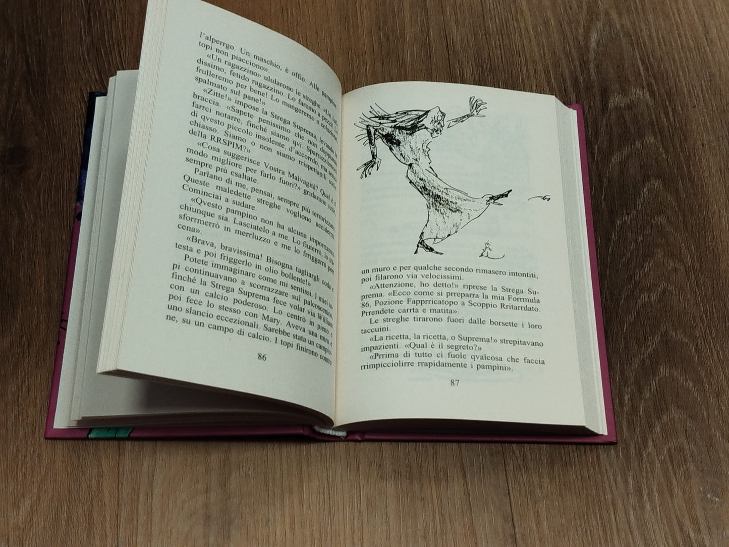 Le streghe Roald Dahl