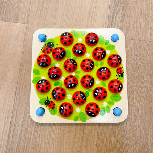 Ladybug memory game