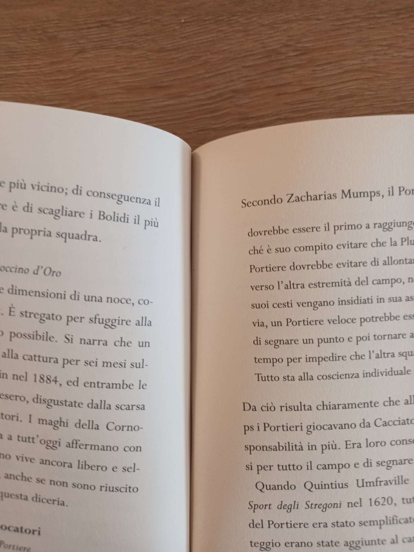 Il quidditch attraverso i secoli