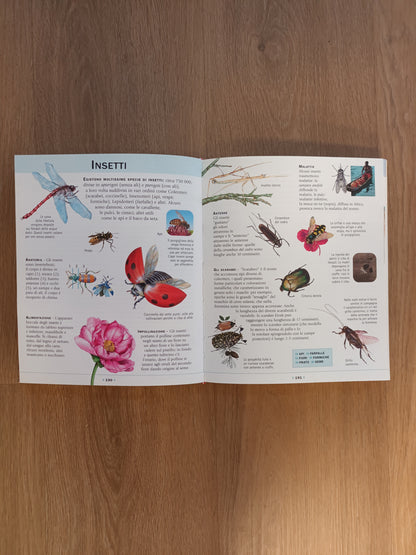 Enciclopedia Illustrata per Ragazzi