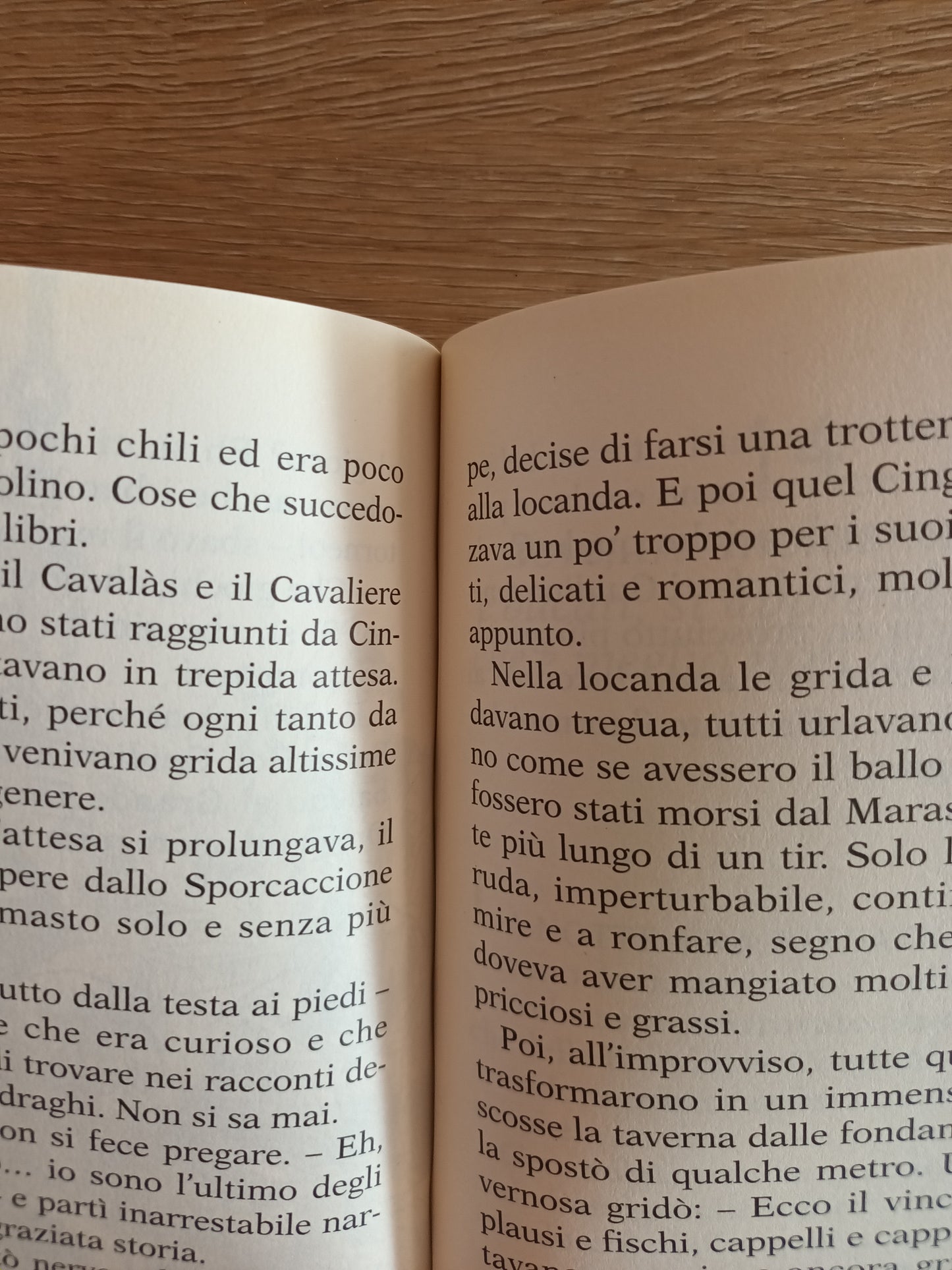 L'ultimo degli Sporcaccioni